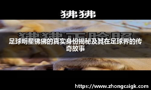 lehu66乐虎官网平台